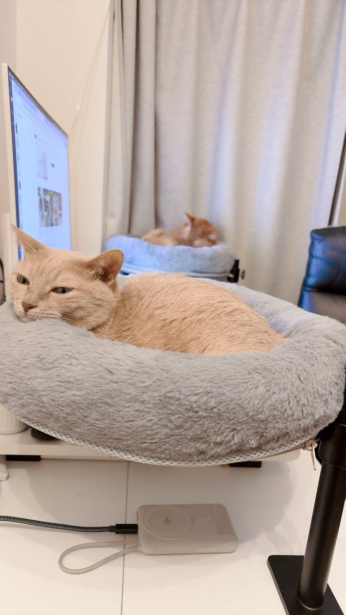 蛭塚都 tweet media