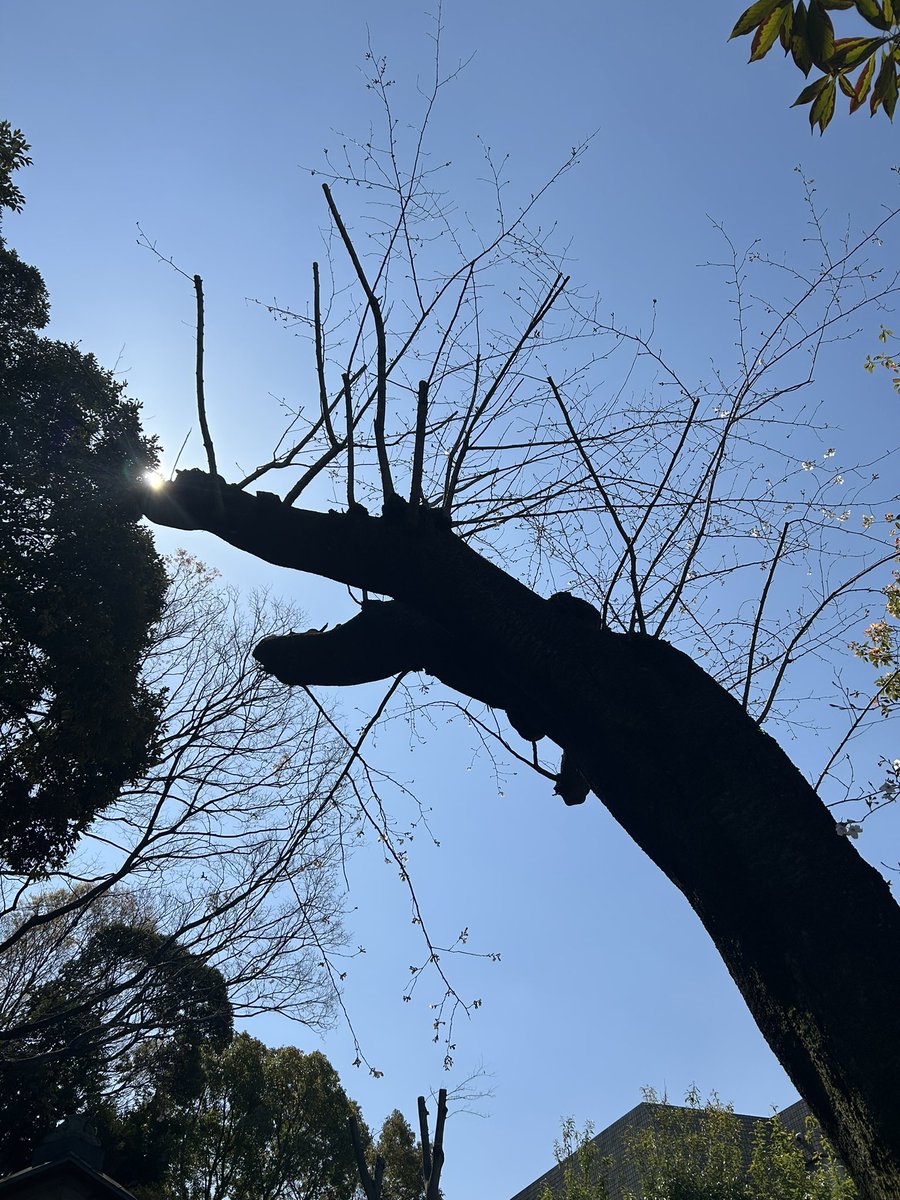 水野ノブヨシ（Rita-iota） tweet media