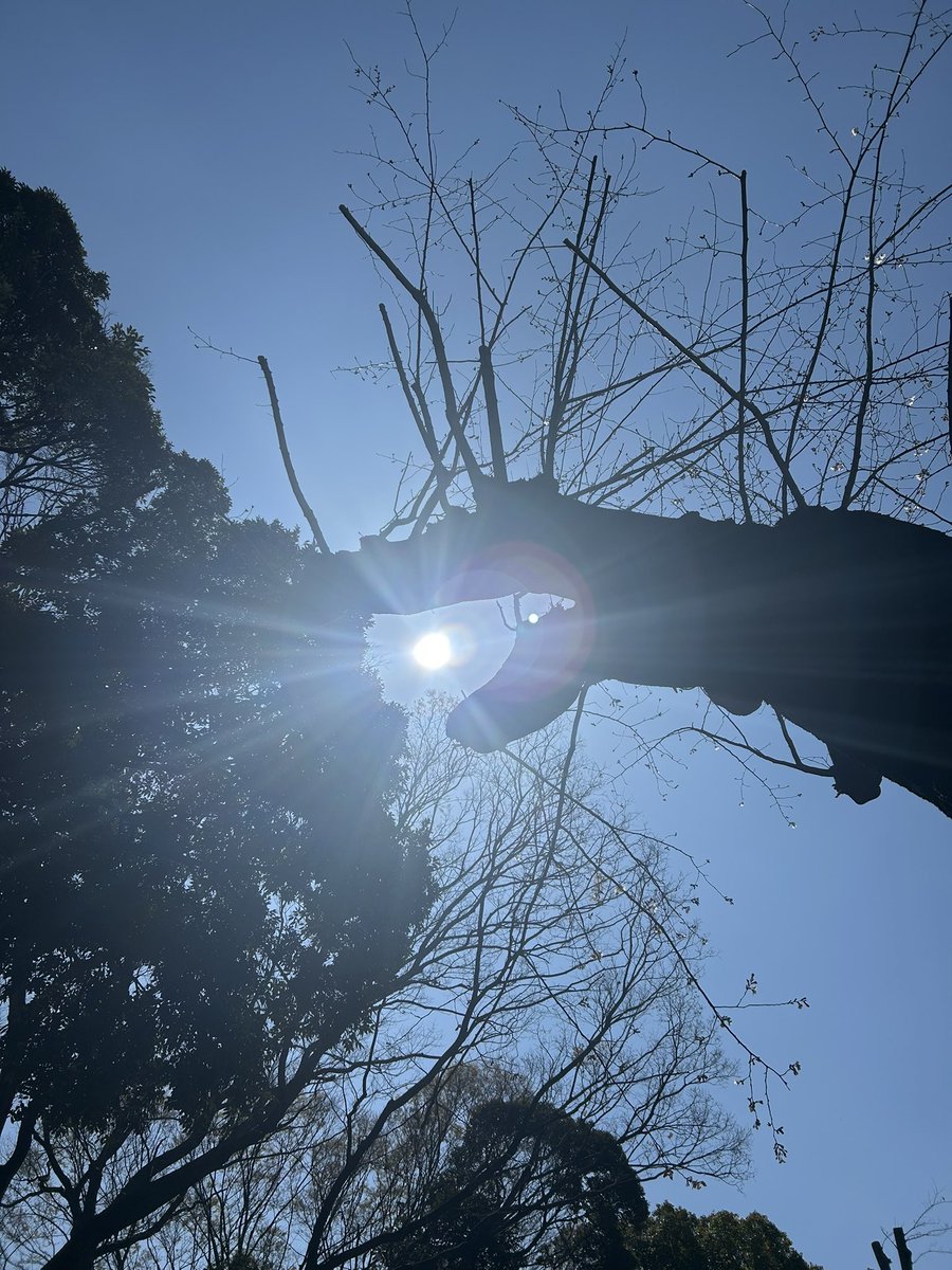 水野ノブヨシ（Rita-iota） tweet media