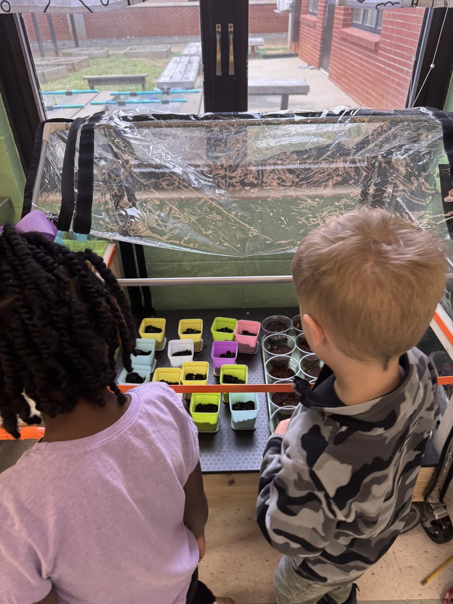 MarahScharf's tweet photo. Checking in on our plants! @RLifescience  #RNEGreatThings https://t.co/4FounUXosi