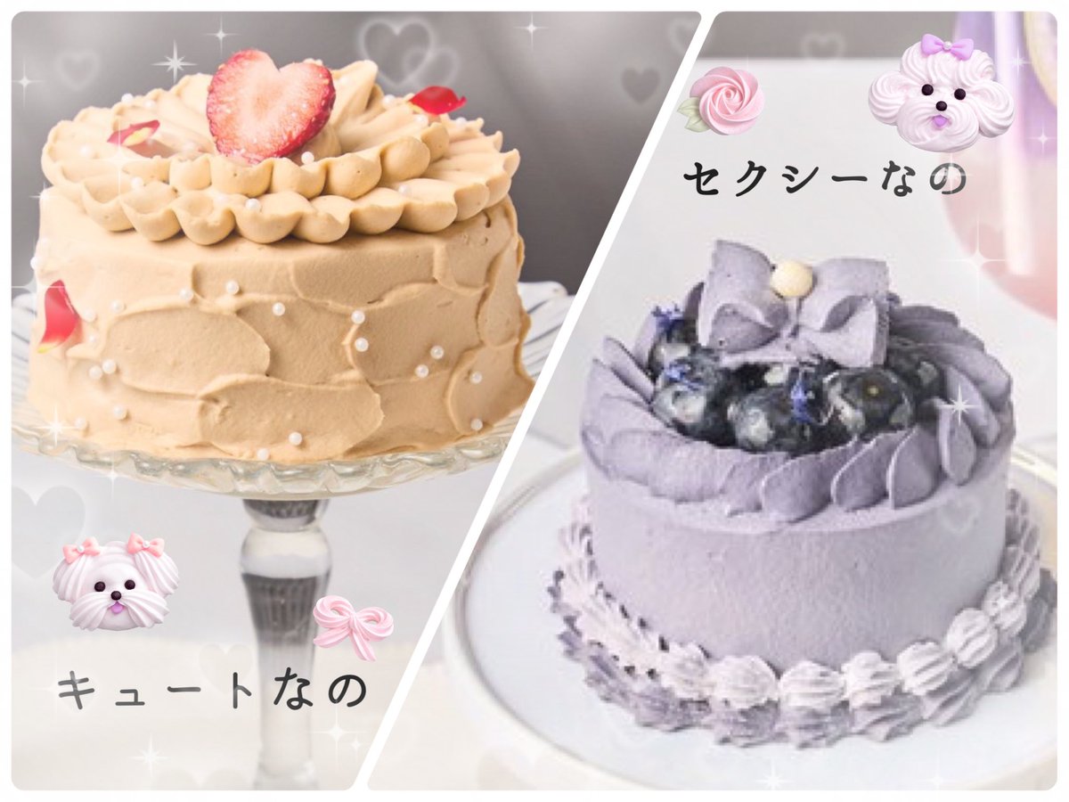 スー☻ tweet media