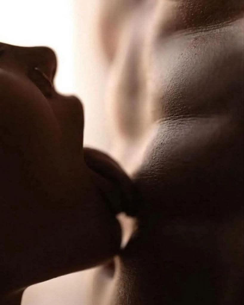 Metropolitan tweet media