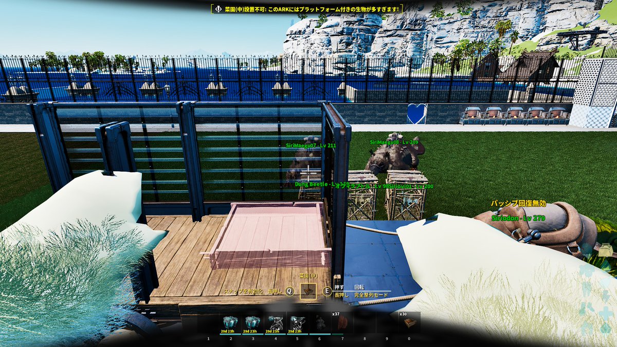 sirigirl@DFMWIN👊 tweet media