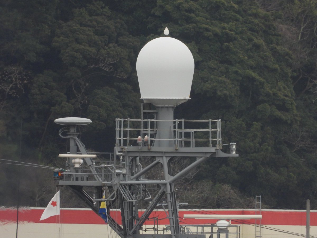 小豆家きなこ tweet media