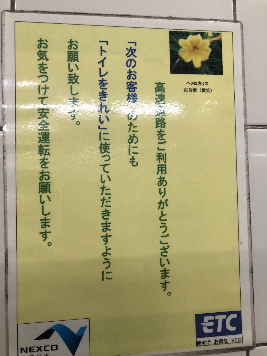 イイジタカヒロはノンフィクションである。 tweet media