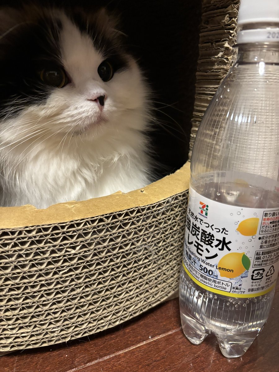 キムチ母‼️ tweet media