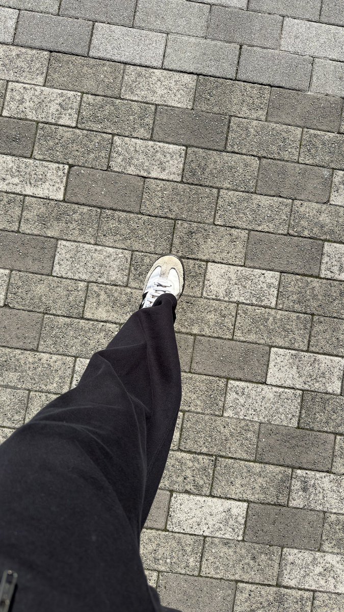 lifewithtony tweet media