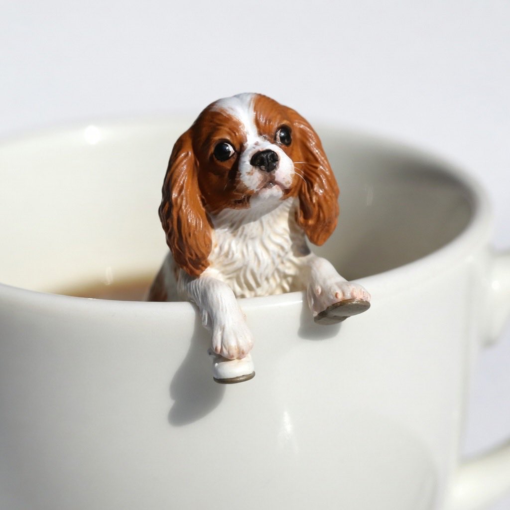 ぽちいな tweet media