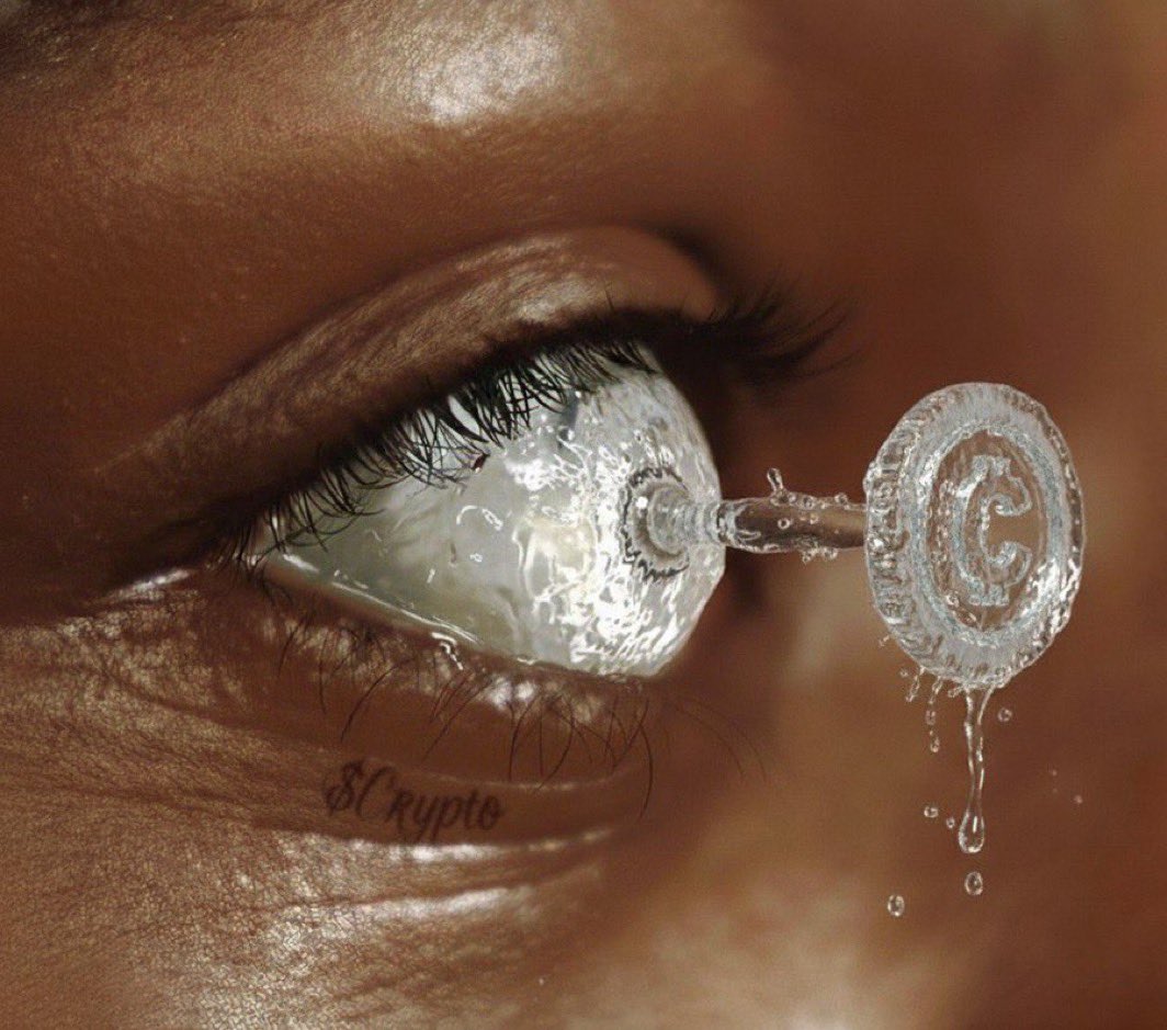 little 🐟 tweet media