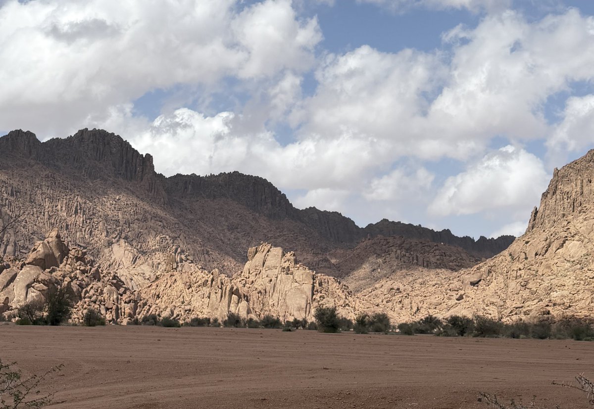 خلود tweet media