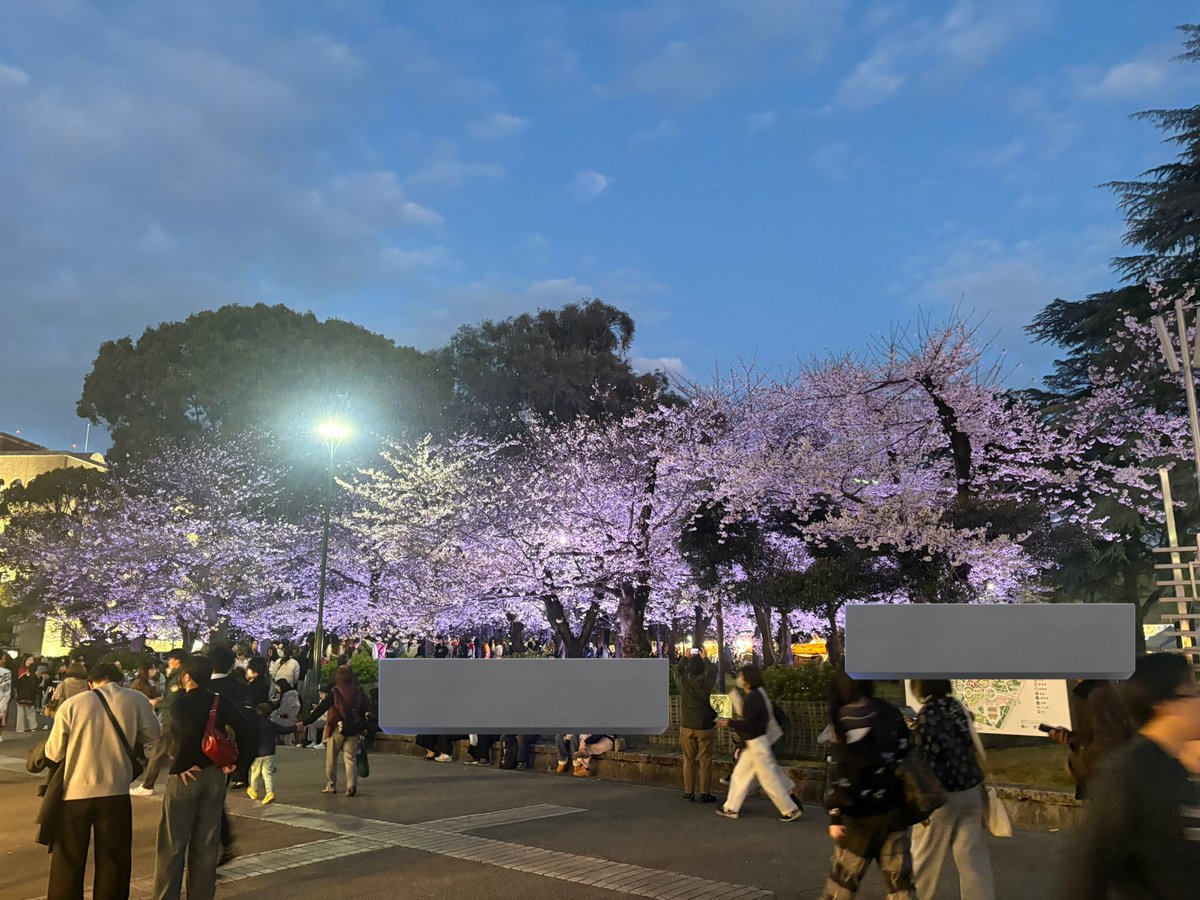 さてつ🌠 tweet media