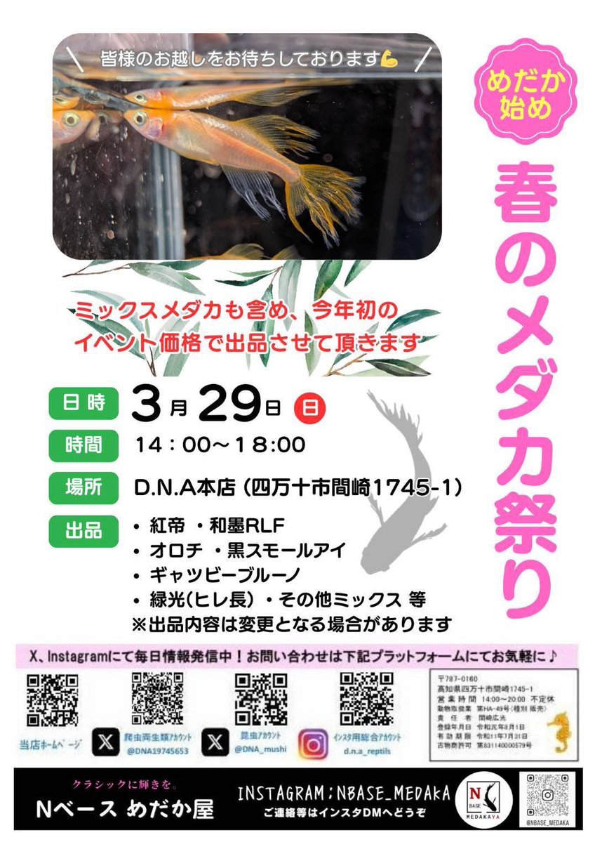 kuroneko heddon(D.N.A) tweet media