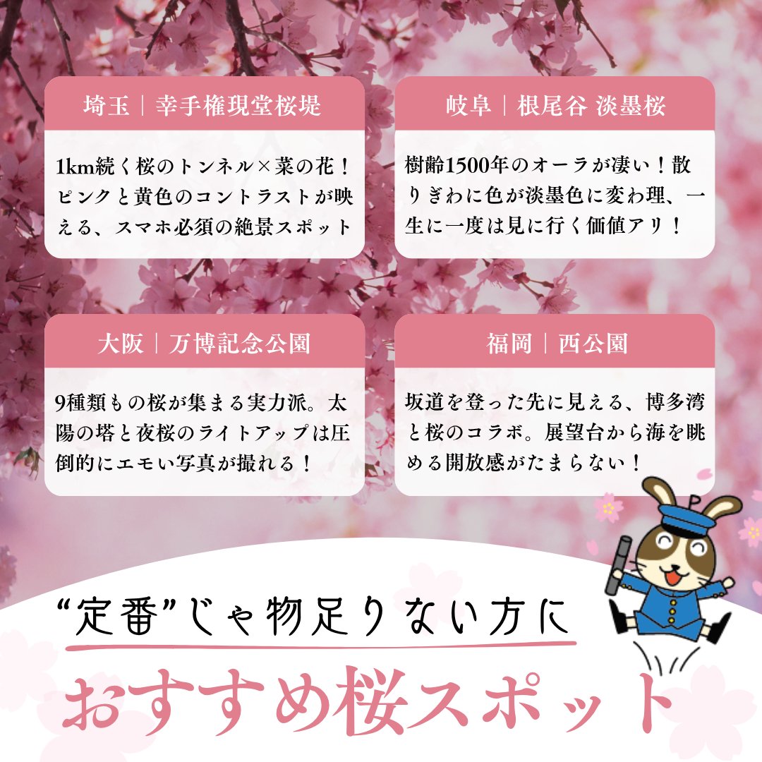【公式】うさっぴぃ｜宇佐美鉱油 tweet media