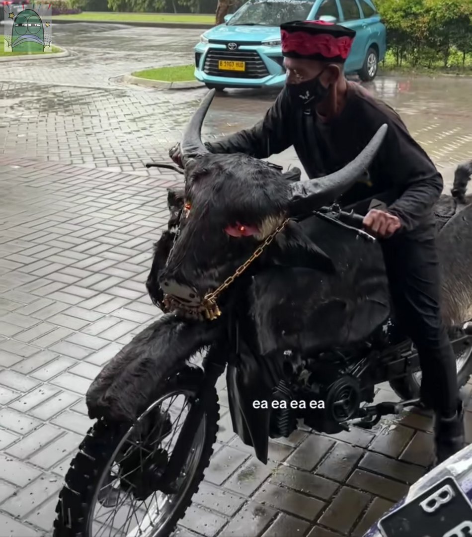 Tanyarlfes tweet media