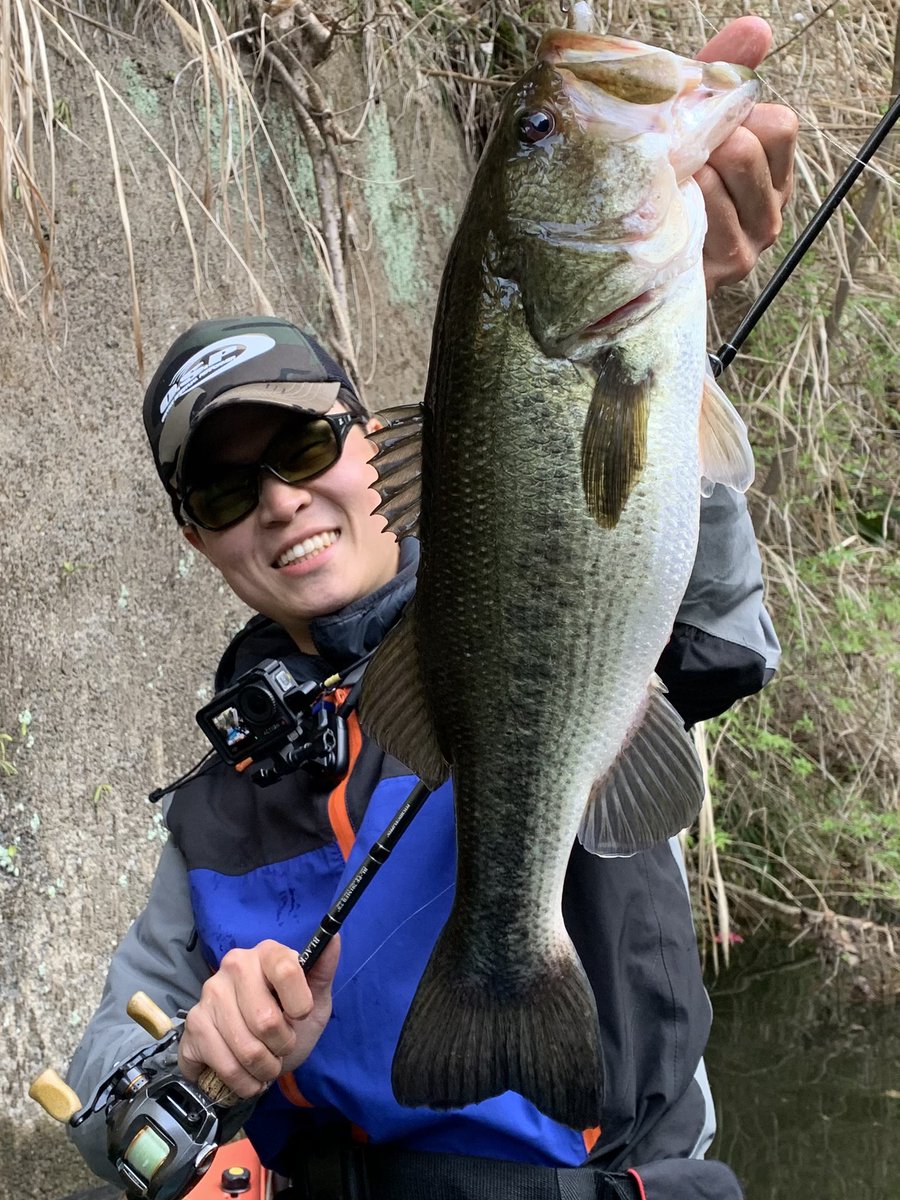 O.S.P Official tweet media