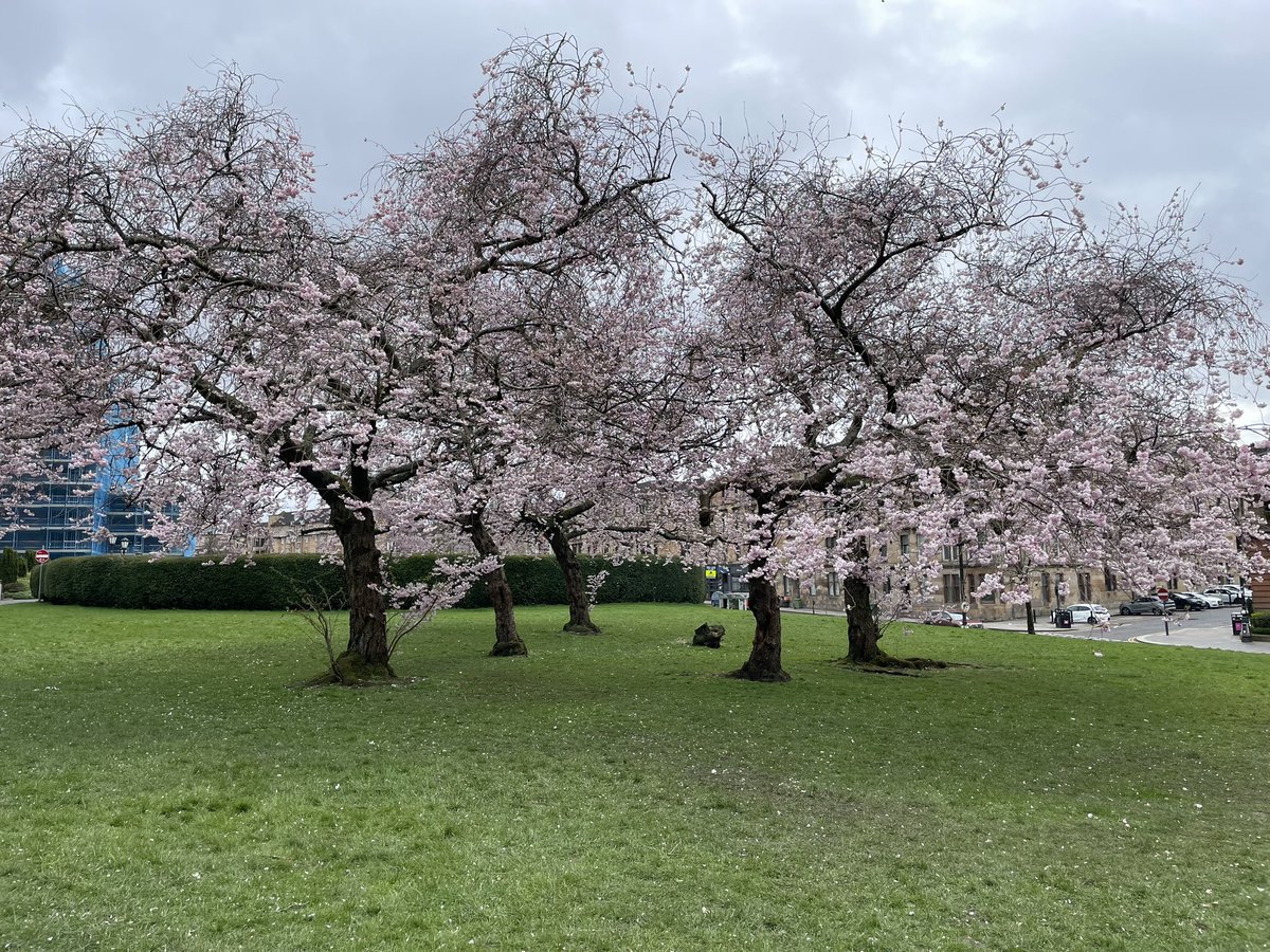 GMGillMaxwell's tweet photo. Being a tourist in your favourite city whilst everyone else is at work is wonderful.
#LookingClosely #Noticing #LookingUp #MomentsThatMatter #TimeOut https://t.co/1Hv6VgLT4n