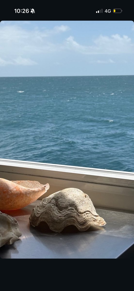 chiara 🌶 tweet media