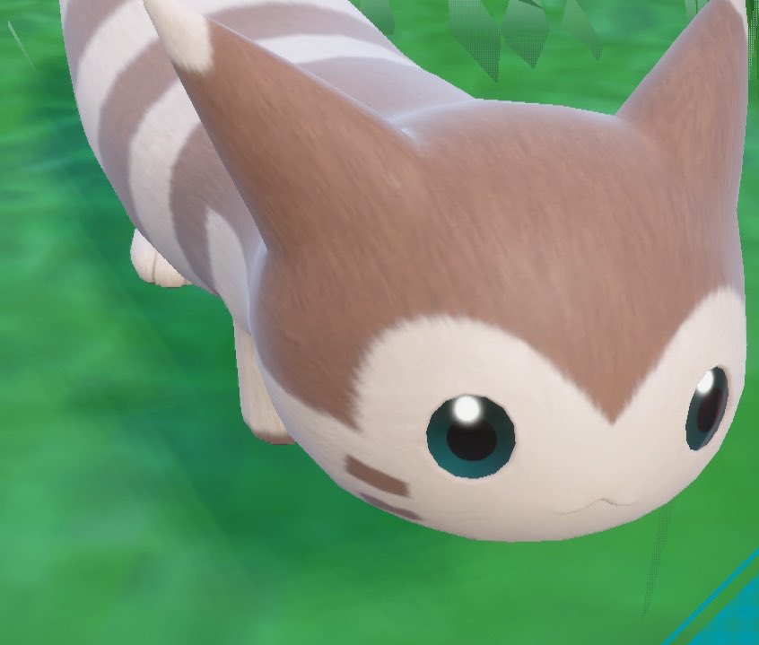 웅이。 tweet media