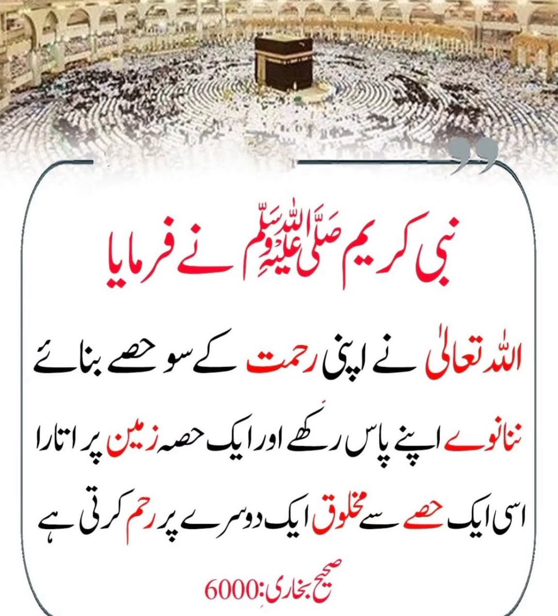 نبی کریم ﷺ نے فرمایا:
اللہ تعالیٰ نے اپنی رحمت کے سو حصے بنائے،
ایک حصہ زمین پر اتارا…
ماں کی مامتا، انسان کی نرمی، ہر دل کی شفقت اسی ایک حصے سے ہے۔
اور ننانوے حصے قیامت کے دن کے لیے محفوظ ہیں…!
سوچیں!
جس رب کی ایک رحمت سے دنیا مہربان ہے
اُس کی مکمل رحمت کیسی ہوگی؟