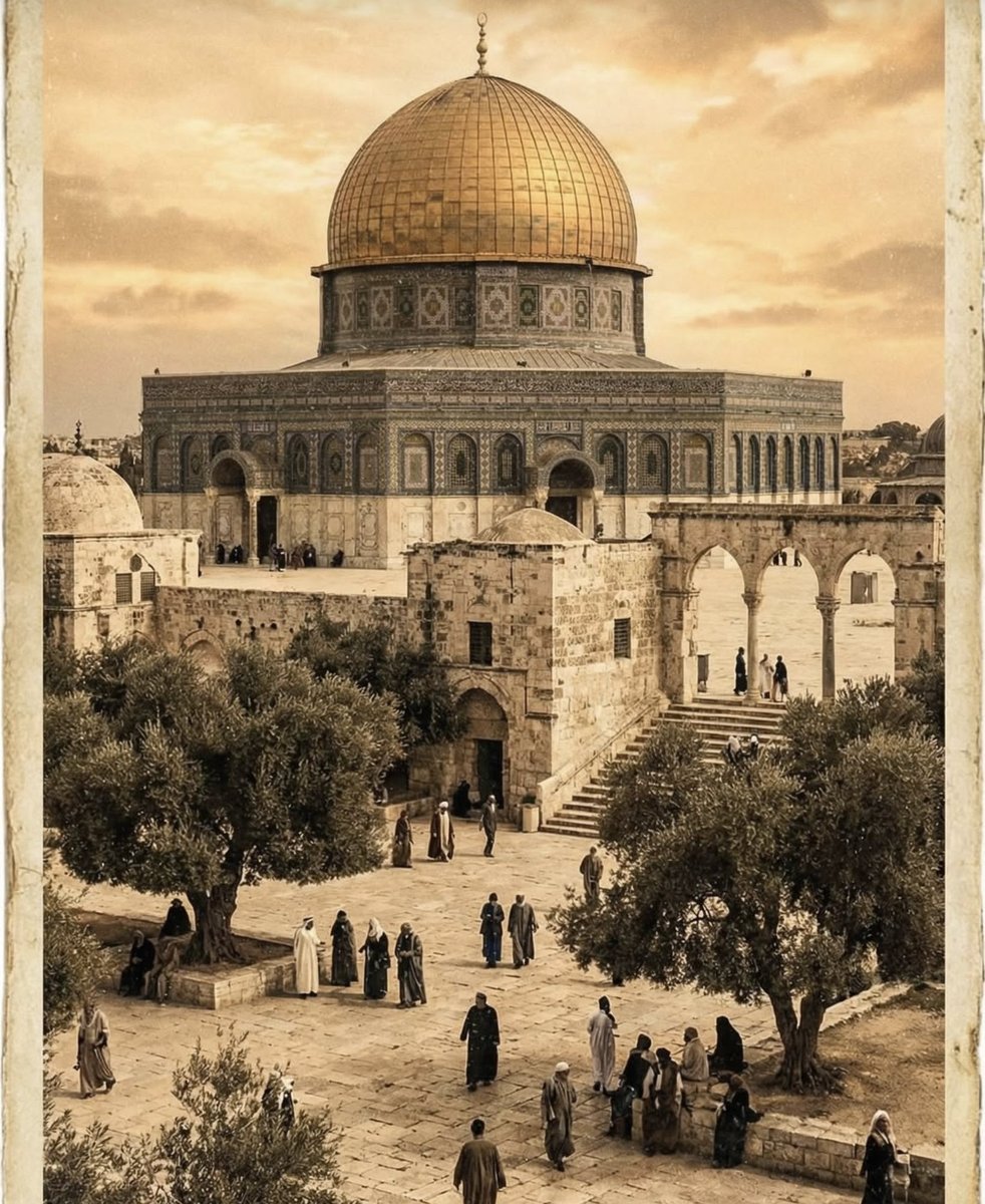 𝐉𝐨𝐥𝐢𝐞𝐭 🇸🇦 tweet media