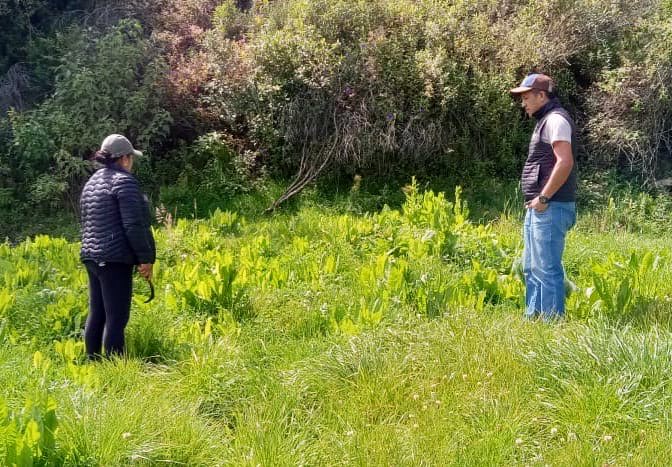 Agricultura_CZ7's tweet photo. #Loja 🌱 | El MAGP, a través del PIDARA y el proyecto #PROFOSPE, se brinda asistencia técnica en la toma de muestras de pasto para análisis bromatológicos en la parroquia #Urdaneta, con el objetivo de fortalecer las capacidades productivas de la Asociación de Ganaderos Sarañan. https://t.co/VYD8tsuWIK