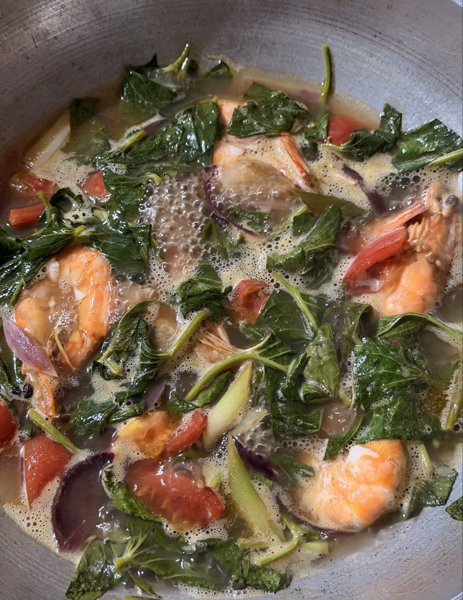 psych_ko😺 tweet media