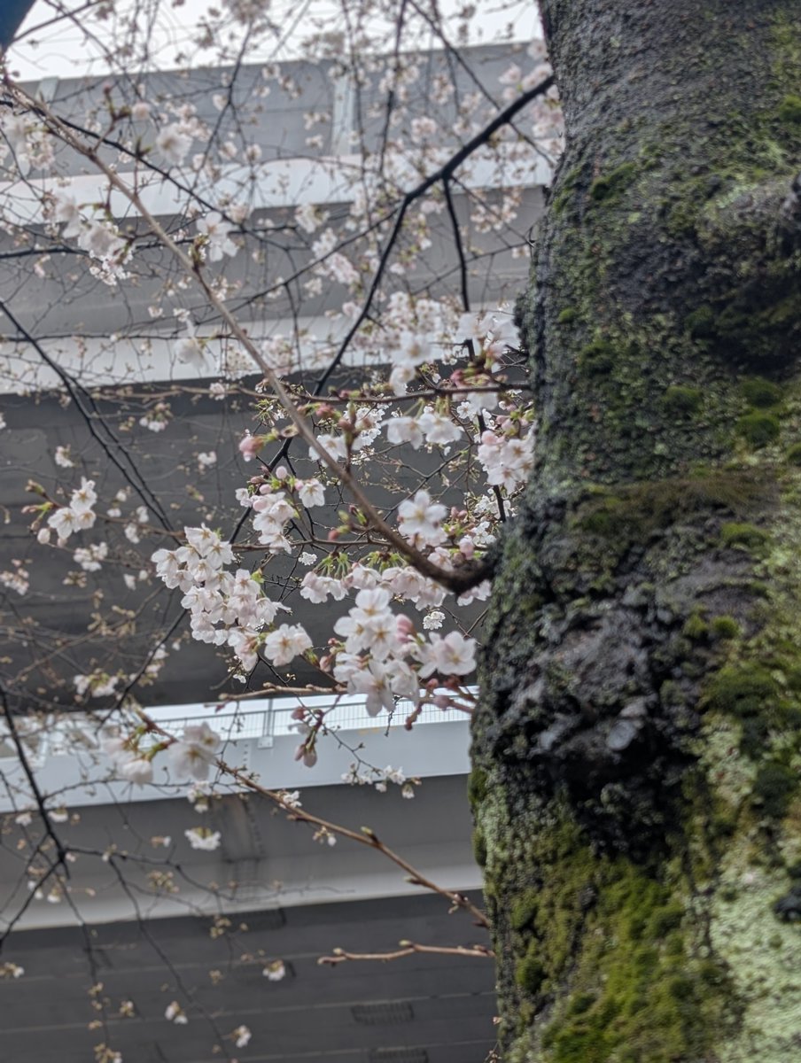 LE VANT（ルヴァン） tweet media