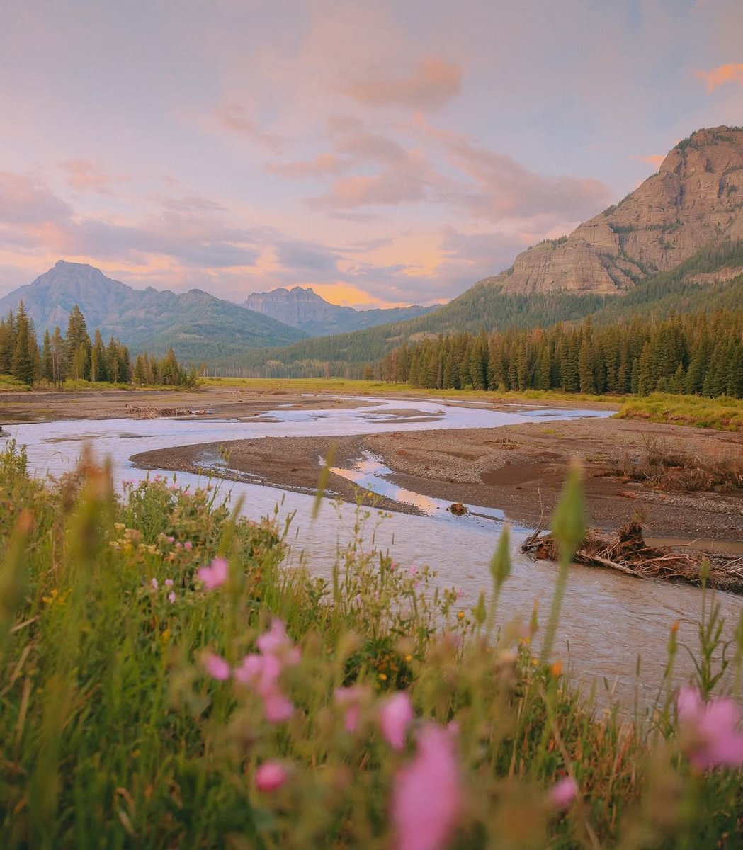 𝘄𝗮𝗻𝗱𝗲𝗿𝘁𝗿𝗮𝘃𝗲𝗹𝘀 tweet media