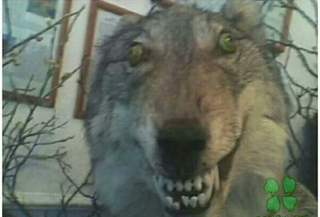 Mari 🍂🍁🍂 tweet media