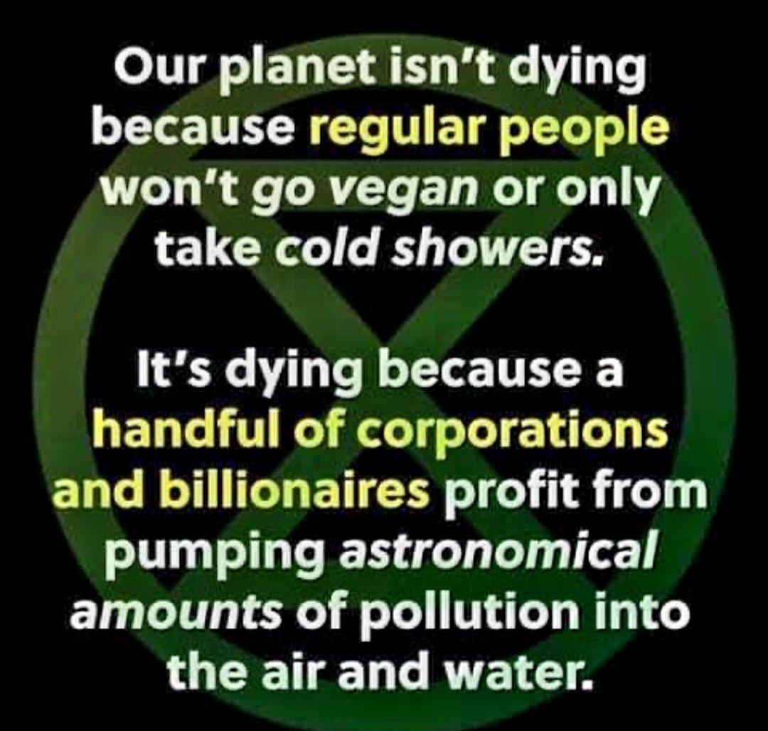 Thursday tweet media