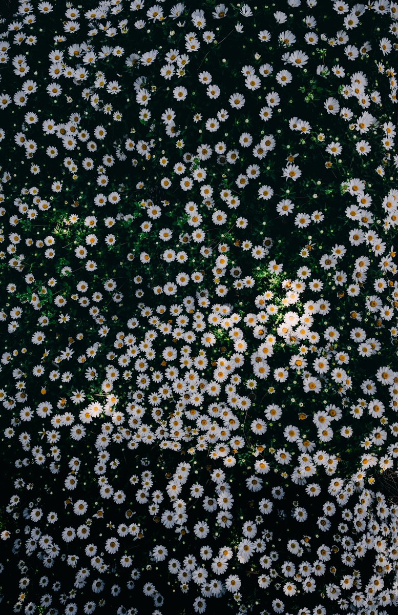 右のShiftキー tweet media