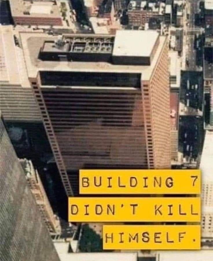 rabbitholebot tweet media