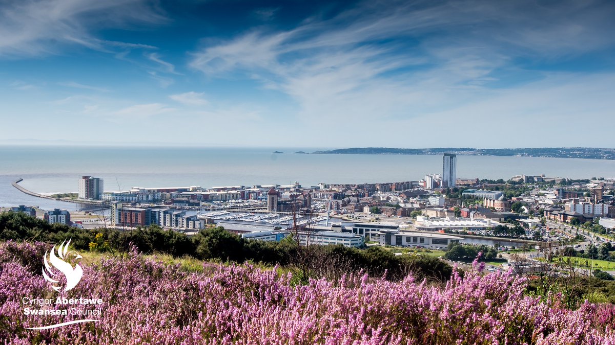 Democracy Swansea tweet media