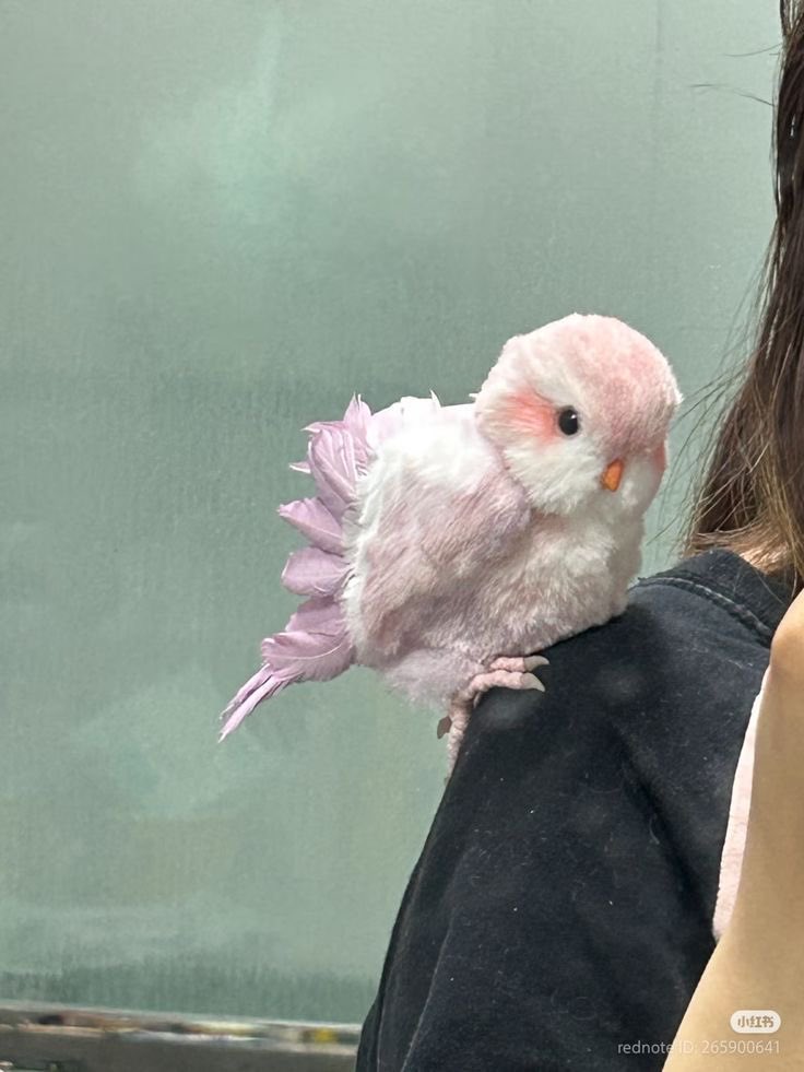 t’es pauvre et tu ris ? tweet media