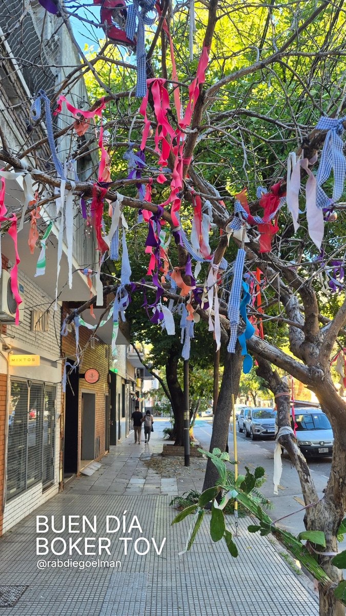 Diego Elman tweet media