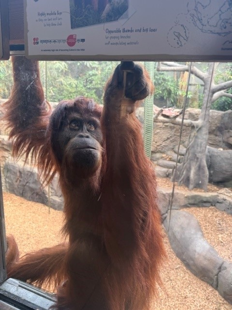 The Ellesmere Port CE College tweet media