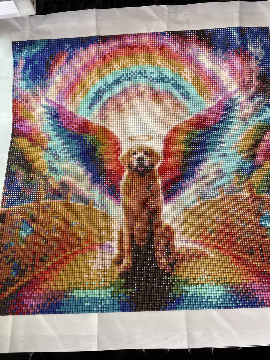 ゴリぽん（ゴリパーク園長） tweet media