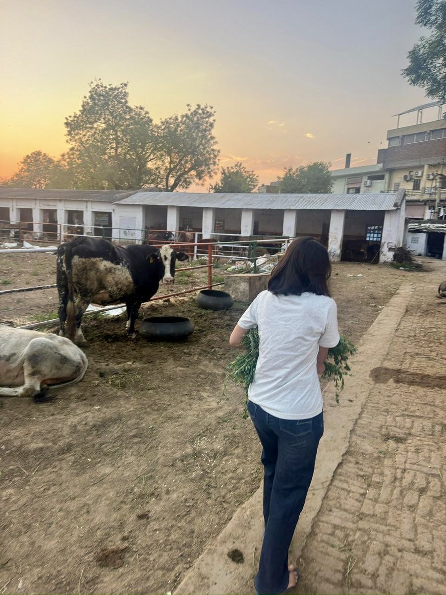 Pranshi Chaturvedi tweet media