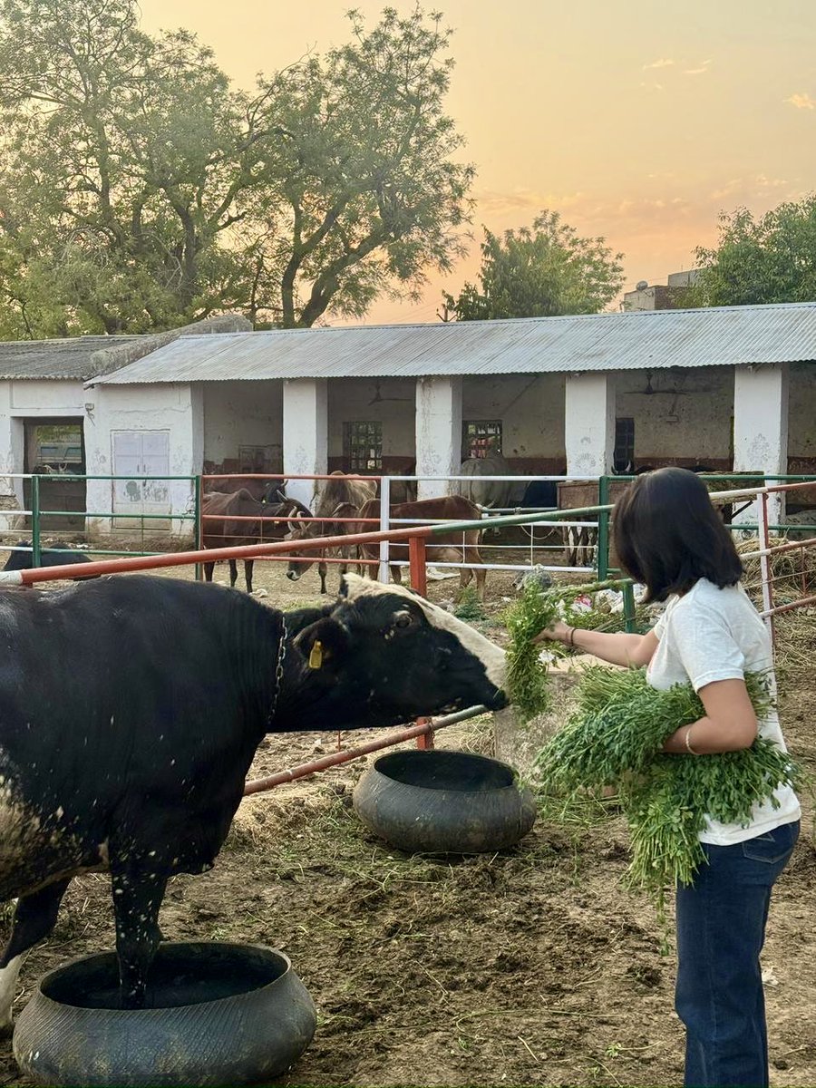 Pranshi Chaturvedi tweet media