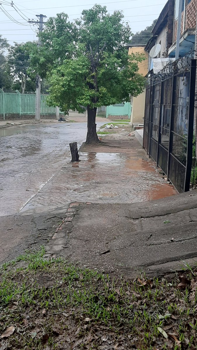 dramon_x's tweet photo. @dmaepoa Falta de agua na Fernando Camarano 215 em frente a uma ETE, por favor @dmaepoa mande equipe https://t.co/Lm3KNNZ0qA