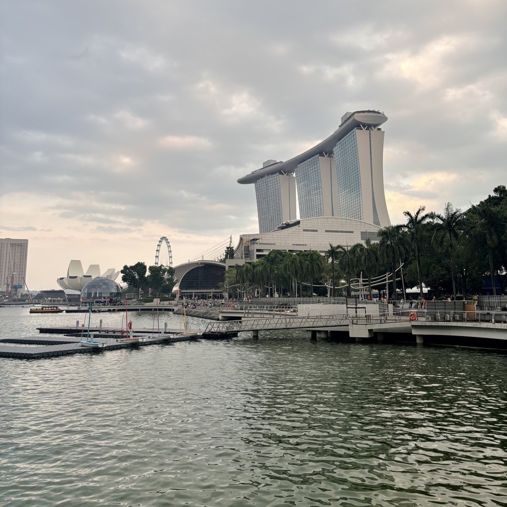 rish🪽 tweet media