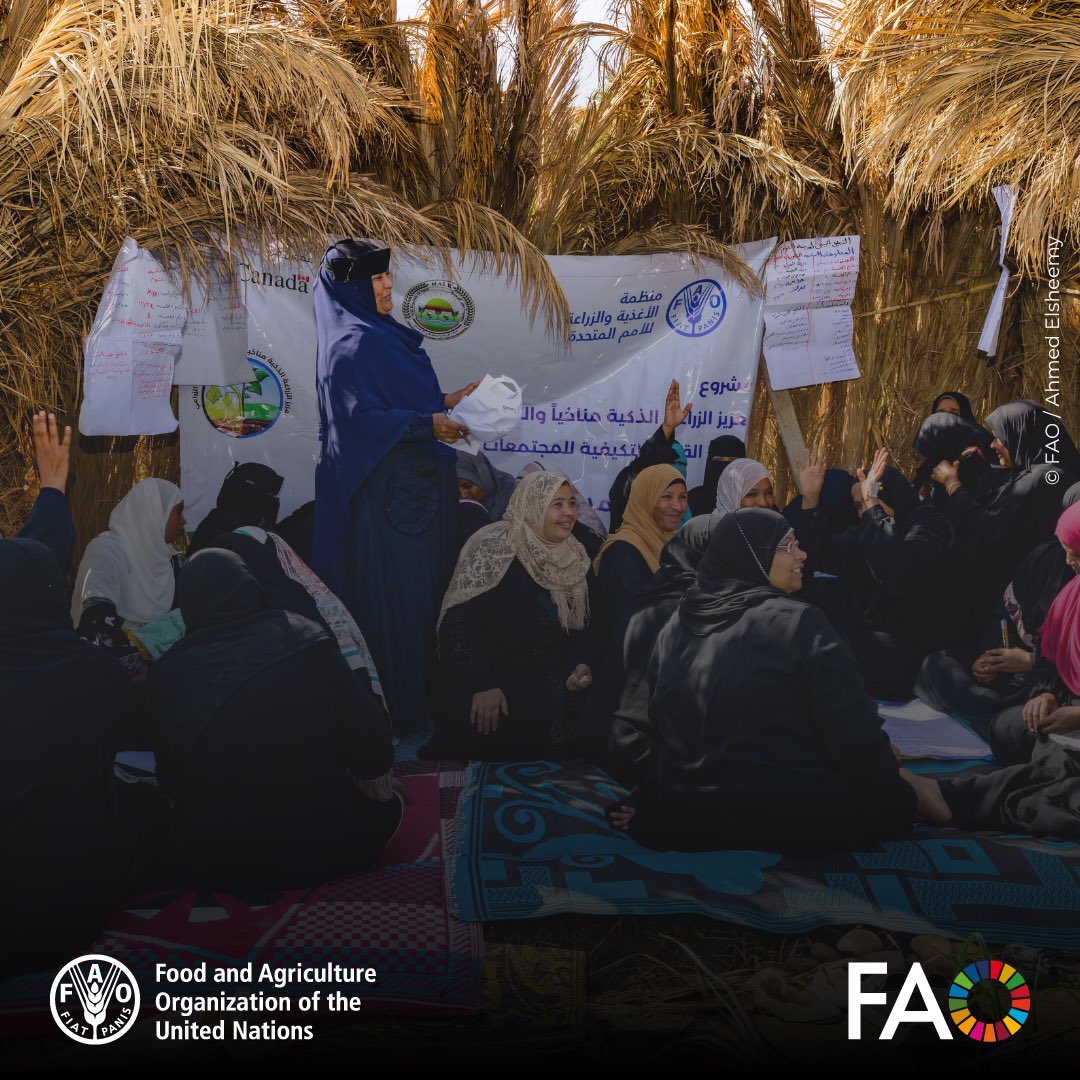 FAOinNENA_EN's tweet photo. Empowering women and youth, strengthening rural livelihoods, strategic foresight and improving agrifood value chains are key to building more inclusive, resilient, and sustainable food systems in the region.
#NERC38 https://t.co/nPjqOupOpw