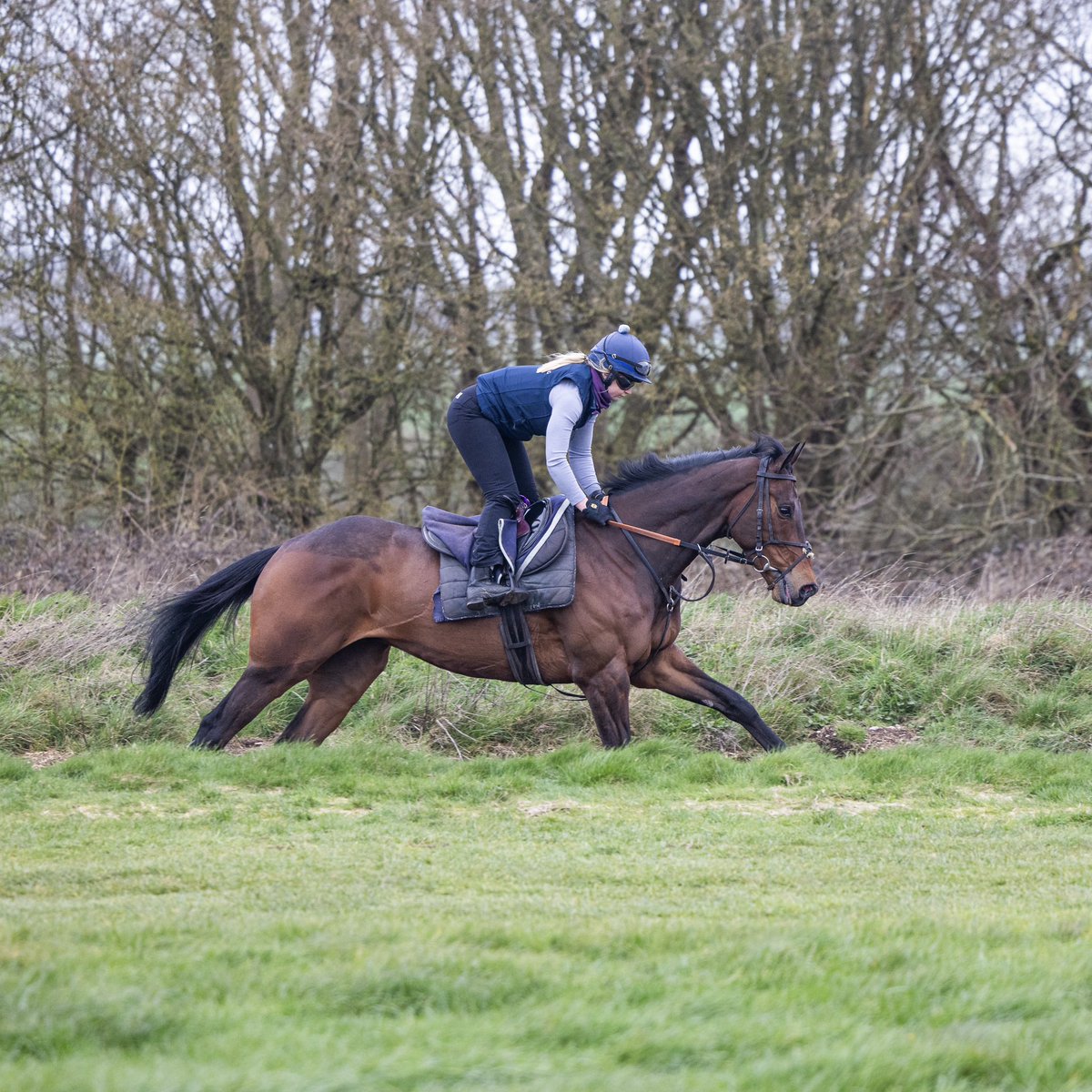 ChannonRacing's tweet image. We have an exciting weekend ahead, with three runners declared for the opening day of the turf at Doncaster:

🏇 Urban Lion - Lincoln Heritage Handicap
🏇 Excellent Believe - Listed Doncaster Mile Stakes 
🏇 Mezcala - Spring Mile 

Best of luck to all our owners 🤞🏼

#JCR