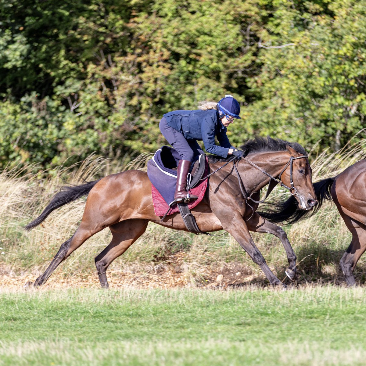 ChannonRacing's tweet image. We have an exciting weekend ahead, with three runners declared for the opening day of the turf at Doncaster:

🏇 Urban Lion - Lincoln Heritage Handicap
🏇 Excellent Believe - Listed Doncaster Mile Stakes 
🏇 Mezcala - Spring Mile 

Best of luck to all our owners 🤞🏼

#JCR