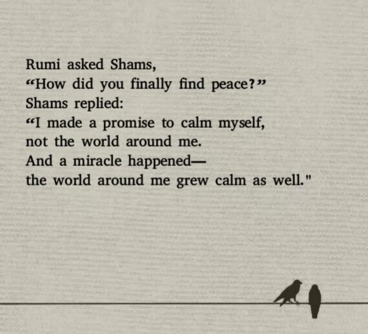 Waheed Zafar tweet media