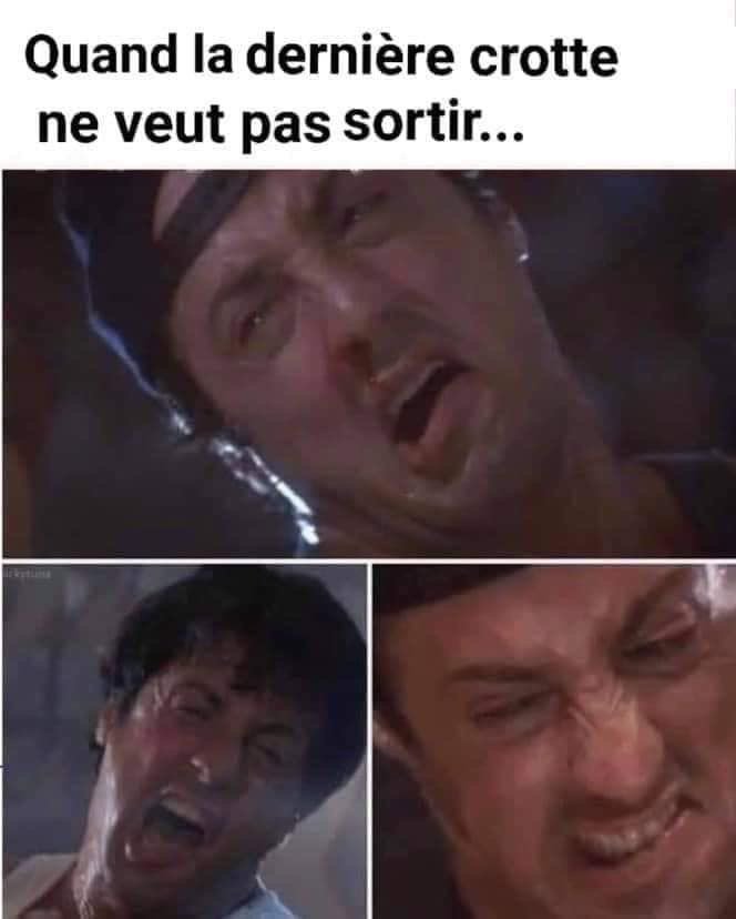 🇨🇵✝️⚜️ Remigration Des Occupants⚜️®️👣🇨🇵🇷🇺 tweet media