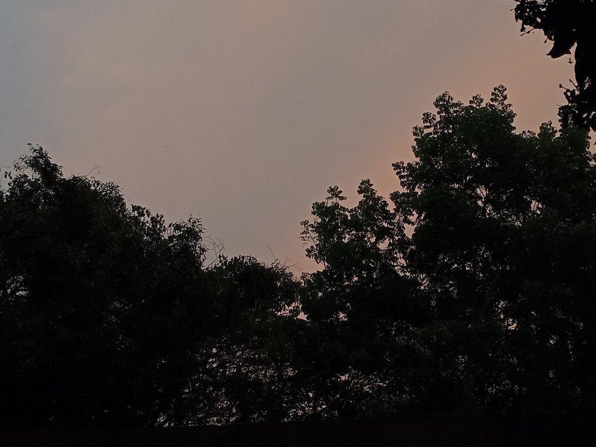 NITUN KRISHNA tweet media