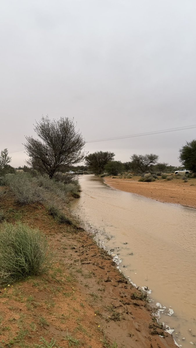 عبدالله 不 tweet media