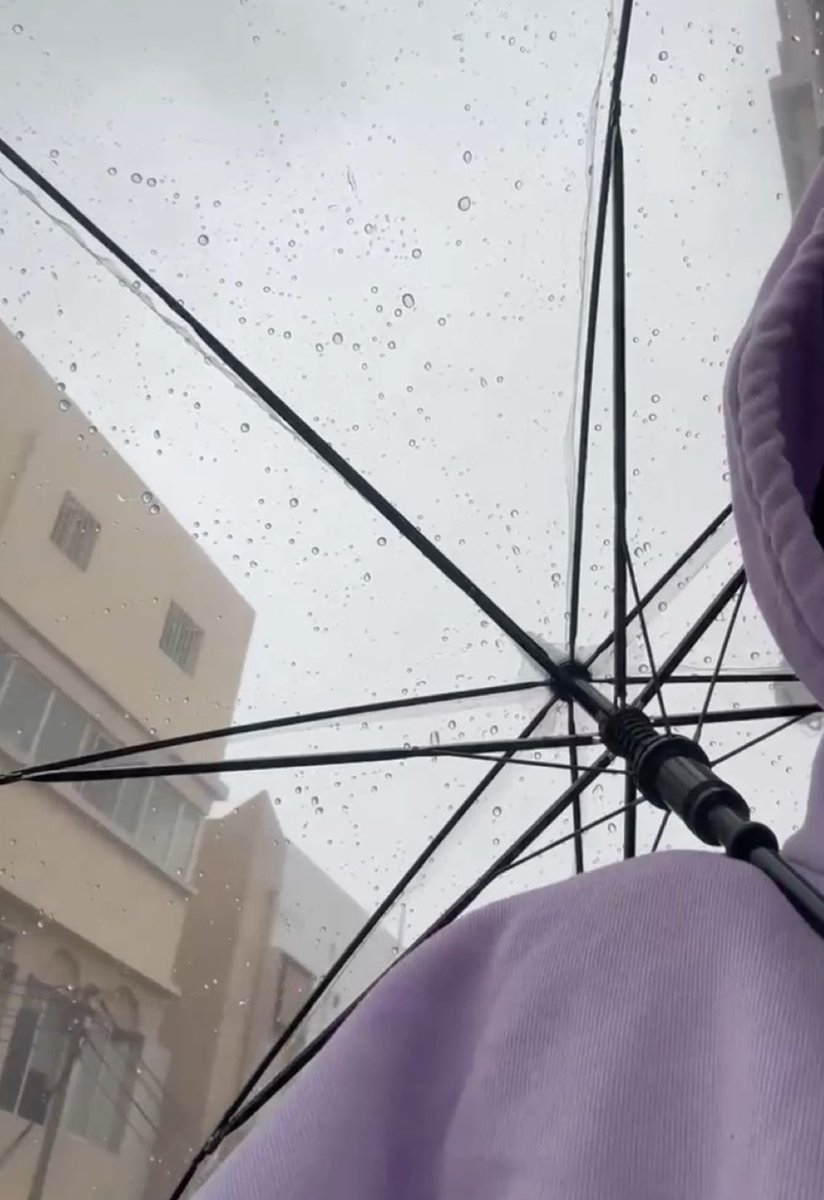 أ:لولي tweet media