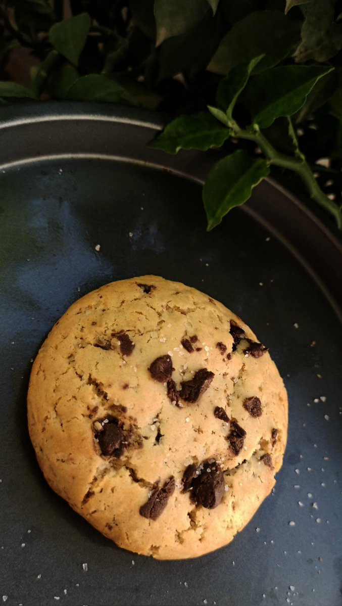 m. 🇵🇸 tweet media